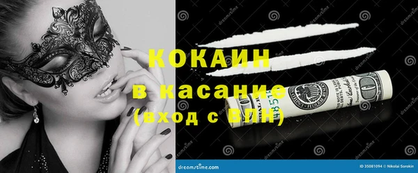 твердый Мегион