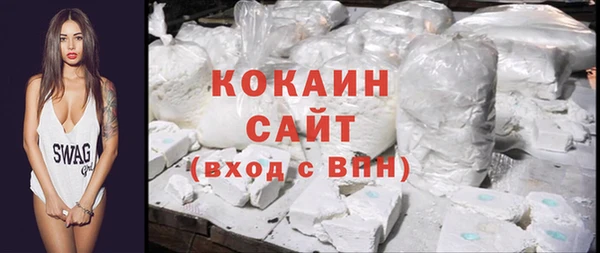 твердый Мегион