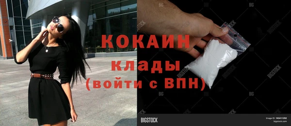 твердый Мегион