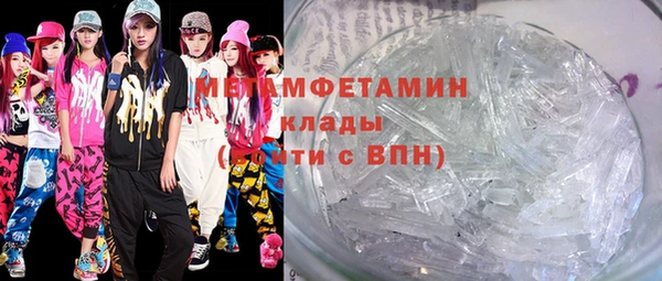 шишки Сосновый Бор