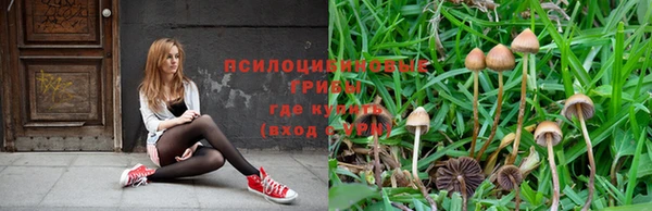 скорость Медногорск