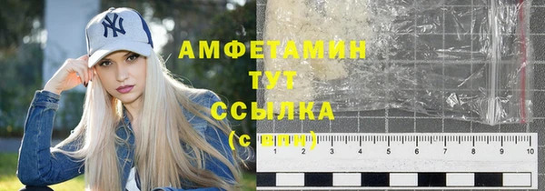 твердый Мегион
