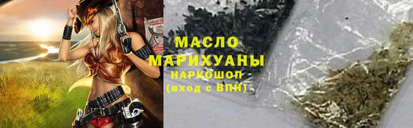 твердый Мегион